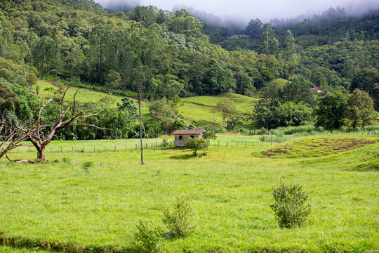 Ampla paisagem rural com pasto verde, &aacute;rvore seca e pequena casa r&uacute;stica de madeira