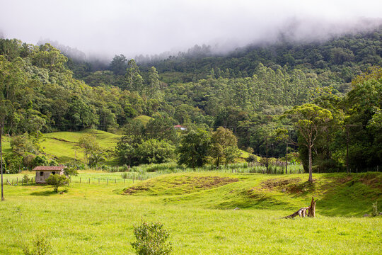 Vale rural com pastos verdes e montanhas cobertas por floresta tropical e neblina baixa