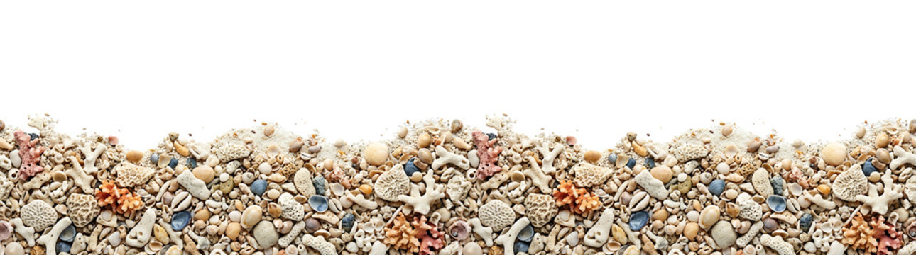 Abundant beach debris border with shells and coral fragments