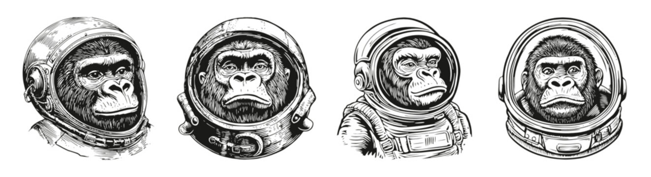 Detailed Illustrations of Monkeys in Space Helmets and Suits, vector illustration, engraving design, logo design set, black and white line