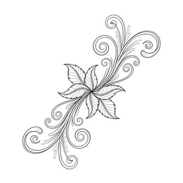 Elegant floral vine design with delicate leaves and swirling tendrils isolated on transparent background