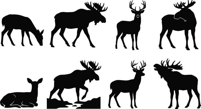 Deer and Moose Wildlife Silhouette Collection Featuring Grazing Standing Walking and Resting Animals