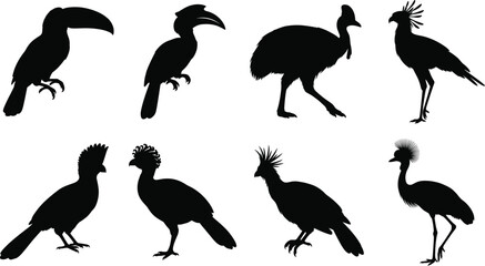 Obraz premium Exotic Bird Silhouette Collection Featuring Toucan Hornbill Cassowary Secretary Bird and Crowned Pigeons