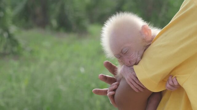 Baby monkey is sleeping warmly in the arms of a person wearing a yellow shirt.