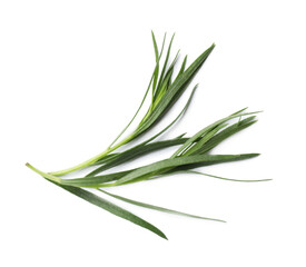 Fototapeta premium Sprig of fresh tarragon isolated on white, top view