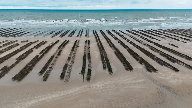 Aerial drone view of an oyster farm on Normandy coast of France.