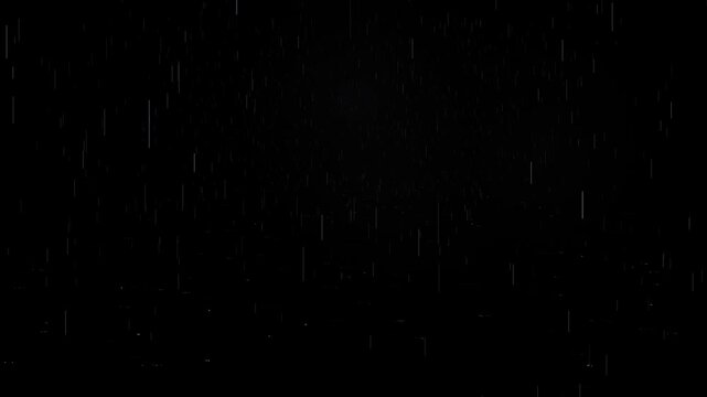 Snow falls gently in misty weather conditions on a winter morning