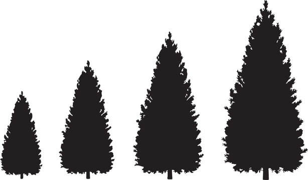 Set of four different sized pine tree silhouettes on white background  trees