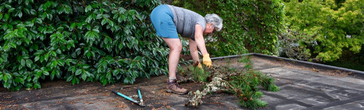 Senior woman on carport roof picking up cut branches of pine tree, homeowner summer yard maintenance and cleanup pruning back overhanging branches
