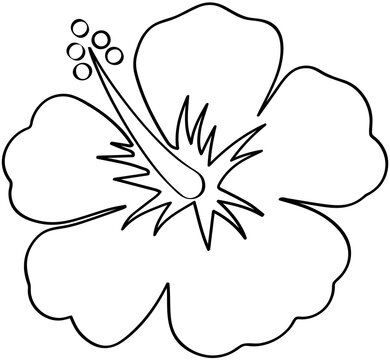 flower, vector, illustration, nature, art, design, pattern, floral, plant, drawing, leaf, decoration, symbol, card, black, sketch, vintage, silhouette, spring, love, wedding, frame, summer, heart, ros