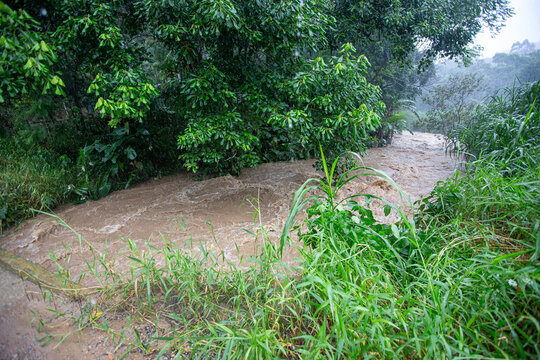 Fluxo r&aacute;pido de &aacute;gua marrom barrenta inundando a floresta sob forte chuva torrencial