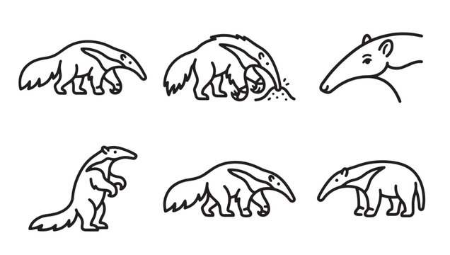 Collection of giant anteater icon designs in simple outline style with anteater wildlife american creature collection monochrome isolated illustration minimalist behavior standing