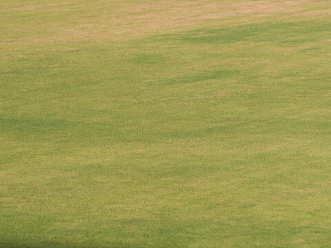 Turf surface of the stadium field features a pattern alternating between light green and dark green.