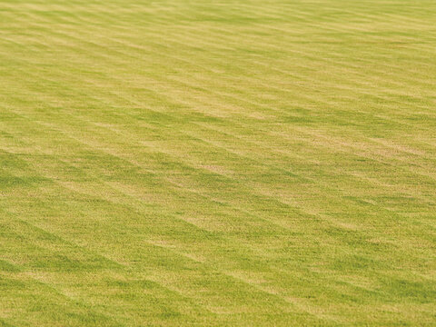 Turf surface of the stadium field features a pattern alternating between light green and dark green.