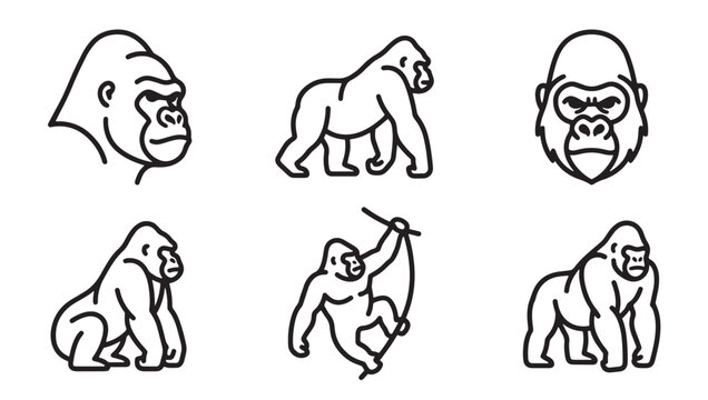 Set of gorilla icons in simple black and white line art style with wildlife illustration minimalist creature silverback standing climbing isolated decoration collection character mammalian
