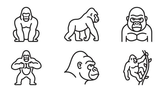 Set of various gorilla poses icons in simple black line art style with wildlife illustration minimalist creature silverback climbing standing isolated decoration collection character