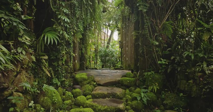 Ubud, Bali jungle landscape. Stone steps covered in lush green moss creating path through a dense tropical forest entrance with walls overgrown by ferns and vines, revealing a hidden Bali temple gate
