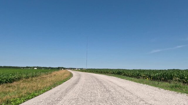 Slow-motion view from a moving bicycle receding down a paved rural road curving between a lush green cornfield and a soybean field under a clear blue sky.