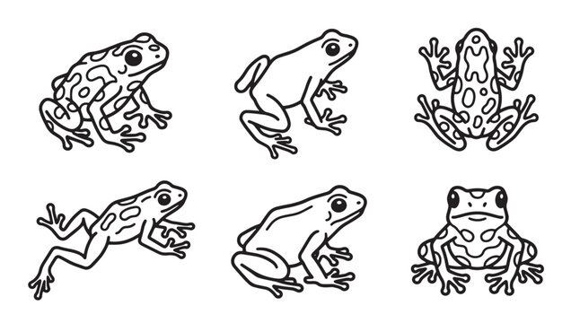 Set of six simple hand-drawn icons depicting frogs in different stances and anatomical positions with amphibian wildlife creature monochrome collection illustration amphibians scientific