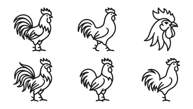 Collection of rooster vector icons showing various poses with cockerel collection illustration character standing agriculture livestock domestic minimalist isolated monochrome feathers