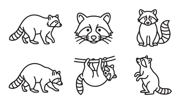 Set of six vector raccoon icons in various poses with wildlife illustration collection predator character standing climbing isolated minimalist monochrome creature