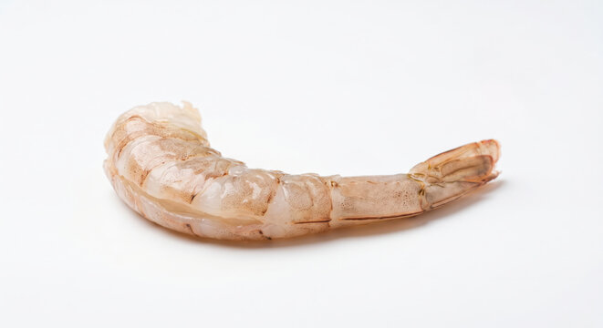 A single raw shrimp is placed on a white background. It is ready for cooking or preparation. This shrimp can be used in various dishes like stir-fries or soups