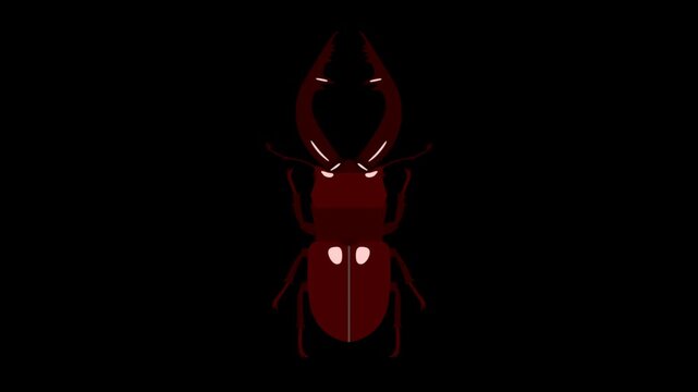 Animated **Japanese Stag Beetle** Jaws Opening **Summer Nature** Icon Loop 4K