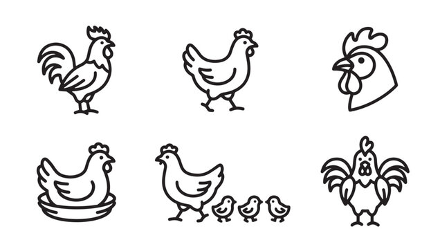 Set of black and white chicken and rooster farm poultry outline vector icons with agriculture livestock countryside domestic illustration collection isolated minimalist character hatching