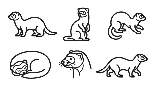 Set of ferret outline vector icons showing various poses and actions with mustelid wildlife collection illustration sleeping standing portrait creature carnivore domestic silhouette