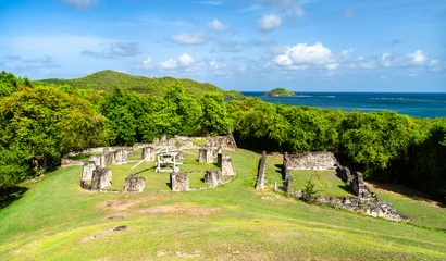 The historic ruins of Chateau Dubuc on the scenic Caravelle Peninsula in Martinique surrounded by lush green nature and the blue ocean © Leonid Andronov
