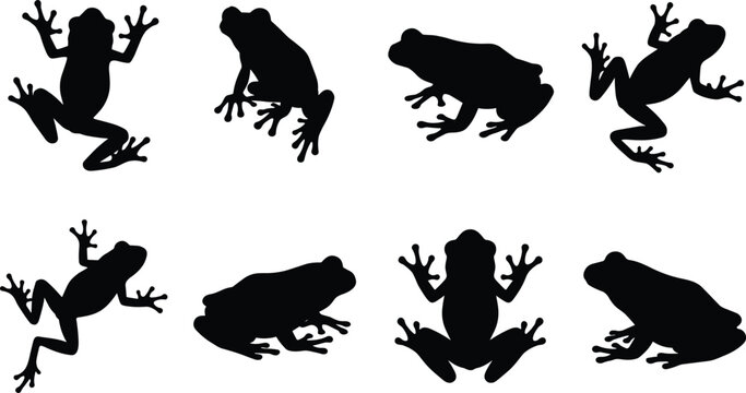 Frog silhouettes set featuring climbing jumping sitting and crawling tropical tree frogs and toads vector icons