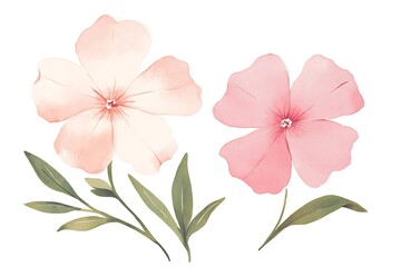 Fototapeta premium Delicate blossoms in soft hues