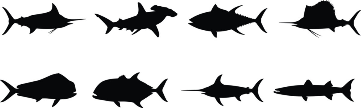Set of Saltwater Big Game Fish Silhouettes Featuring Marlin Tuna Shark and Sailfish Vector Icons