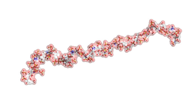 Heparin dp36, anticoagulant, 3D macromolecule 4K