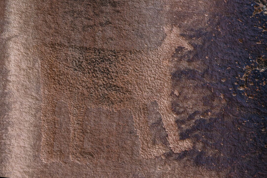 bear petroglyph