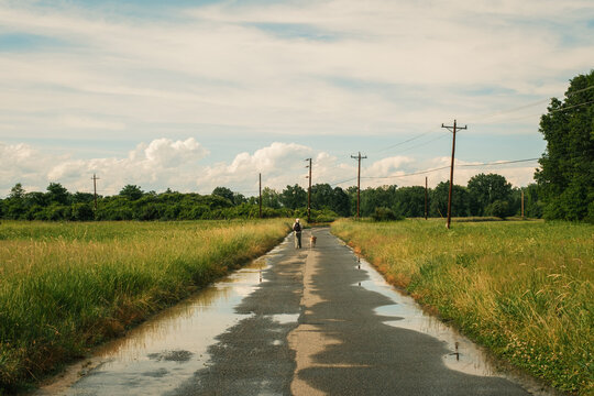 A person walks with a dog down a rural road lined with utility poles, with puddles reflecting the sky, in Easthampton, Massachusetts