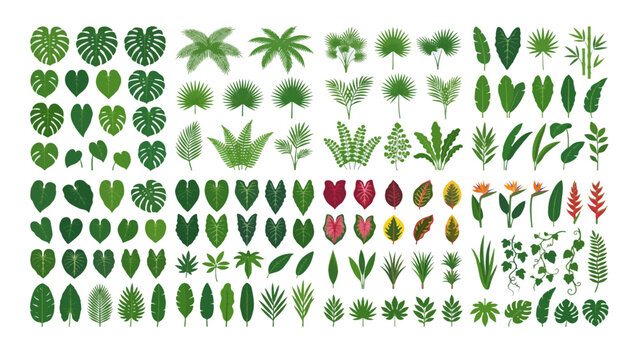 Leaf Branch Flower Botanical Vector Collection Featuring Foliage, Garden Plants, Floral Elements, Natural Greenery and Decorative Branches.