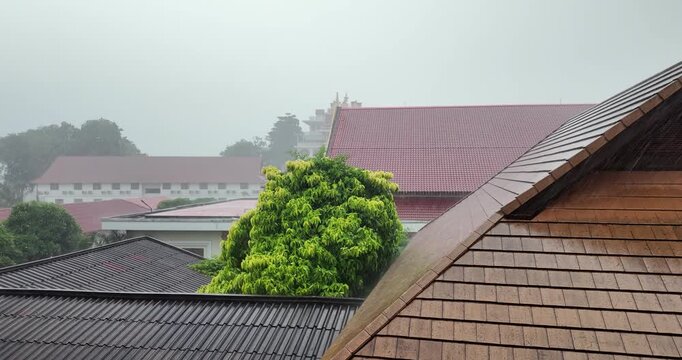 Heavy rain falls over a cluster of buildings with diverse roofs, featuring a vibrant green tree amidst a misty, overcast atmosphere.