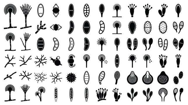Microbiology fungi and spores vector icons set