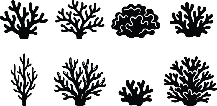 Minimalist black silhouette vector collection of cute magic school microscopes laboratory magnifying tools and academic science research experiment exploration icons isolated on clean white background
