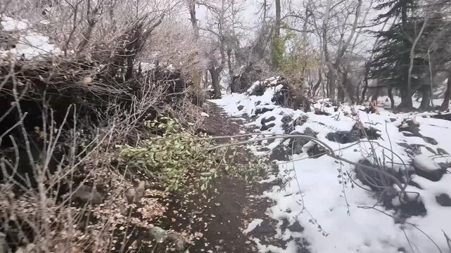 Refugio Alem&aacute;n Lo Vald&eacute;s in Chile