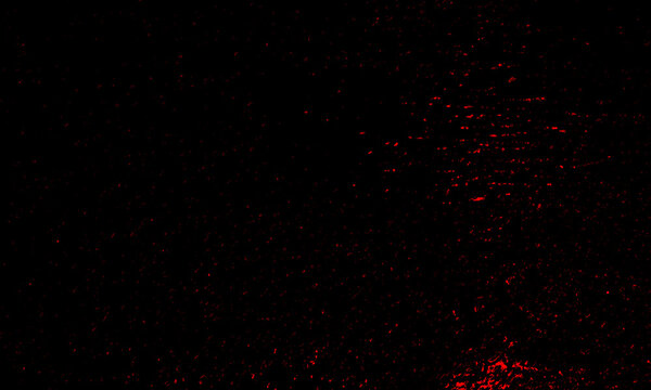 Abstract red particle field on black background digital texture dramatic lighting modern art style