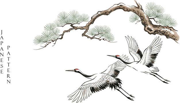 Traditional Japanese ink painting of two red crowned cranes flying under green pine tree branch vector illustration