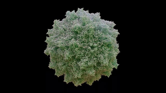 3D AAV5 Adeno-Associated Virus Serotype 5 capsid 60-mer Replication-defective Non-pathogenic, Primarily Lung Alveolar, Eye Retina, and CNS Delivery to Treat Cystic Fibrosis, Hemophilia A as Cryo-EM.