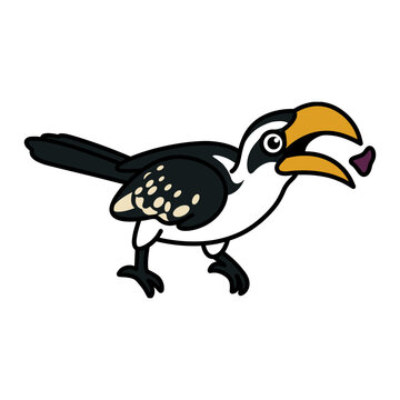 Yellow-Billed Hornbill