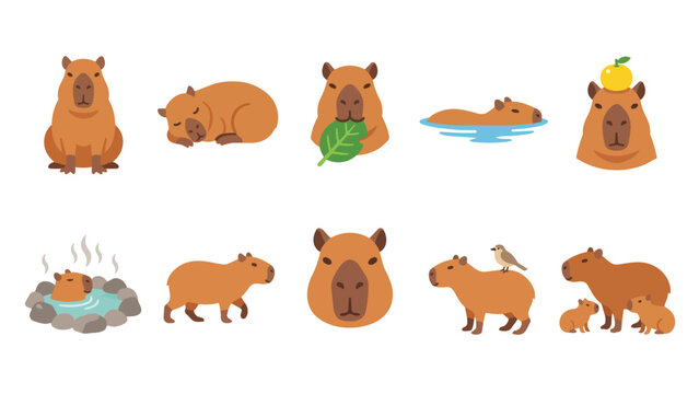 Cute capybara character set in various poses and activities