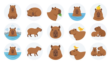 Obraz premium Cute capybara icon set with various poses and activities