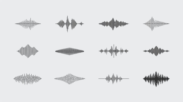 Twelve Different Black and White Sound Waveforms on a Gray Background audio wave equalizer