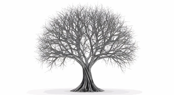 Leafless tree with thick trunk and branches