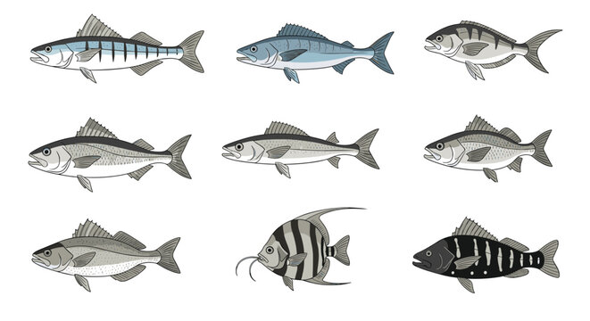 Diverse collection of fish species illustrated in a clean graphic style provides a comprehensive visual set for marine life and fishing themes.
